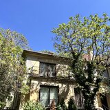 Calea Dorobantilor - Primaverii
